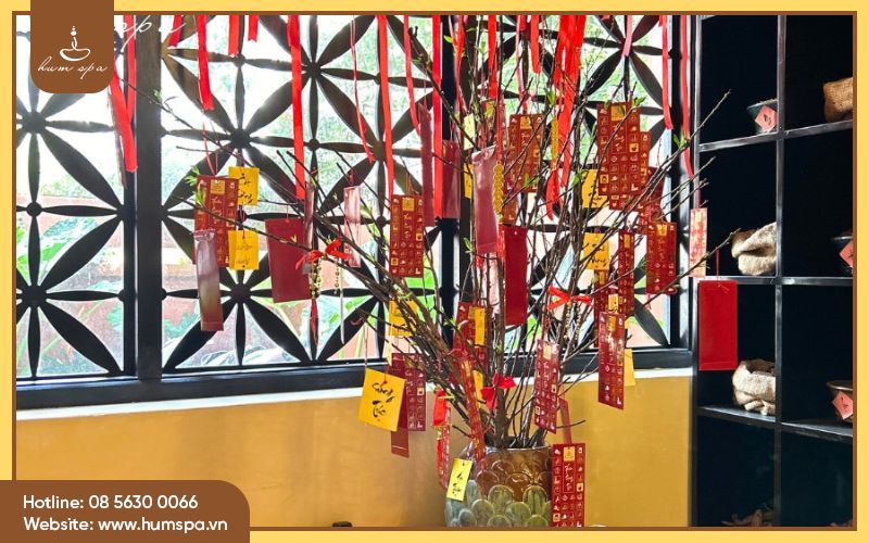 Quy trình nhượng quyền spa giá rẻ quận 1 của Hum Spa