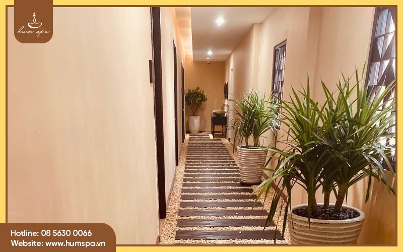 Vì sao bạn nên chọn nhà Hum làm đối tác nhượng quyền spa?